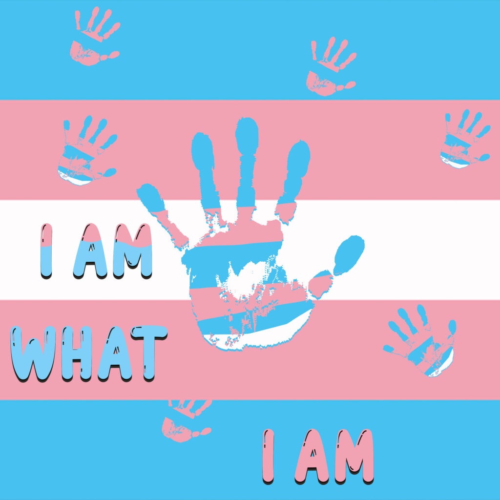 Single cover with trans flag and handprint